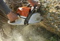 Man cuts a fallen tree. Royalty Free Stock Photo