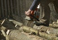 Man cuts a fallen tree. Royalty Free Stock Photo