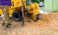 Man cuts a stump grinder in action