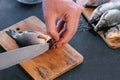 Man cuts gills of carp fish. Cooking fish. Hands close up. Royalty Free Stock Photo