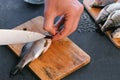 Man cuts gills of carp fish. Cooking fish. Hands close up. Royalty Free Stock Photo