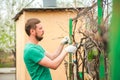 A man cuts grapes close-up. Gardener and pruner for pruning grapes. Autumn and spring pruning of grapes close-up and copy space