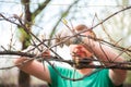 A man cuts grapes in the spring. A man caring for a vineyard close-up and copy space. Grapevine pruning in autumn and spring