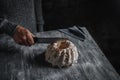 Man cuts a gugelhupf cake with a kitchen knife Royalty Free Stock Photo