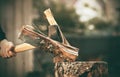 A man cuts a pine log with a sharp axe Royalty Free Stock Photo