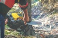 Man cuts pine tree with a chainsaw. lumberjack is sawing a tree trunk with a chainsaw close up. sawdust fly from under a chainsaw