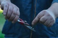 a man cuts a tree branch Royalty Free Stock Photo