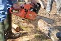 Man cuts tree with chainsaw, concept of deforestation