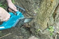 Man cuts tree with chainsaw. Lumberjack cutting a big tree in the forest Royalty Free Stock Photo