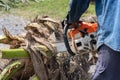 Man cuts tree felling tree with chainsaw. Occupation cut tree Royalty Free Stock Photo