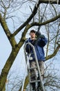 Man cutting a branch of withered tree.