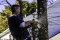 Man cutting branches with chainsaw Royalty Free Stock Photo