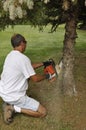 Man cutting down a tree Royalty Free Stock Photo