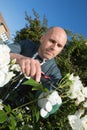 man cutting flowers in backyard