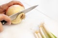 Man is cutting a fresh onion and escallion on white board Royalty Free Stock Photo