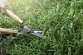 Grass shears Royalty Free Stock Photo