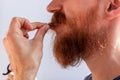 Man cutting his own beard and mustache with scissors and comb. Caucasian red bearded male trimming hair on face at home Royalty Free Stock Photo