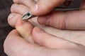 Man cutting nails on his foot - pedicure Royalty Free Stock Photo