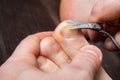 Man cutting nails on his foot - pedicure Royalty Free Stock Photo