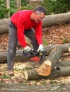 Man cutting oak log with chainsaw Royalty Free Stock Photo
