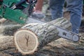 Man cutting piece of wood with chain saw. Royalty Free Stock Photo