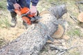 Man cutting a piece of wood by using saw machine Royalty Free Stock Photo