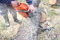 Man cutting a piece of wood by using saw machine Royalty Free Stock Photo