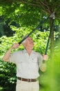 Man cutting tree branches Royalty Free Stock Photo