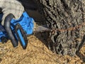 the man cutting the tree with a chainsaw Royalty Free Stock Photo