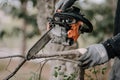 Man cutting a tree with a circular saw Royalty Free Stock Photo