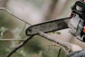 Man cutting a tree with a circular saw Royalty Free Stock Photo