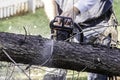 Man cutting tree with gas powered chainsaw Royalty Free Stock Photo