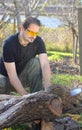 Man cutting tree trunk Royalty Free Stock Photo