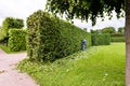 Man is cutting trees in the park. Professional gardener in a uniform cuts bushes with clippers Royalty Free Stock Photo