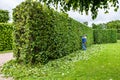 Professional gardener in a uniform cuts bushes with clippers. Pruning garden, hedge. Worker trimming and landscaping green bushes Royalty Free Stock Photo