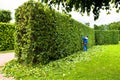 Man is cutting trees in the park. Professional gardener in a uniform cuts bushes with clippers. Pruning garden, hedge. Worker