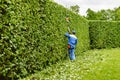 Man is cutting trees in the park. Professional gardener in a uniform cuts bushes with clippers. Pruning garden, hedge. Worker