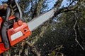 Man cutting trees using an electrical chainsaw in the forest Royalty Free Stock Photo