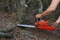 Man cutting trees using an electrical chainsaw in the forest Royalty Free Stock Photo