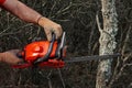 Man cutting trees using an electrical chainsaw in the forest Royalty Free Stock Photo