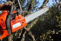 Man cutting trees using an electrical chainsaw in the forest Royalty Free Stock Photo