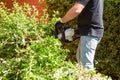 Man cutting and trimming bushes and hedges with Hedge Trimmer