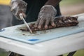 A man cutting up barbeque ribs from the smoker grill on cutting board with gloves on and a large knife. Royalty Free Stock Photo