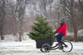 Man cycling home with a big Christmas tree