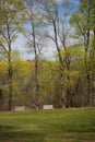 A man cycling on a mountain bike in beautiful spring forest