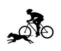 Man cycling training with his dog silhouette
