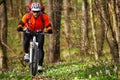 Man cyclist riding the bicycle Royalty Free Stock Photo