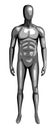 Man 3d monochrome dummy with steel texture. Standing front view