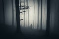 Man in dark forest with fog Royalty Free Stock Photo