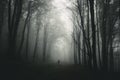 Man in dark haunted forest with giant trees